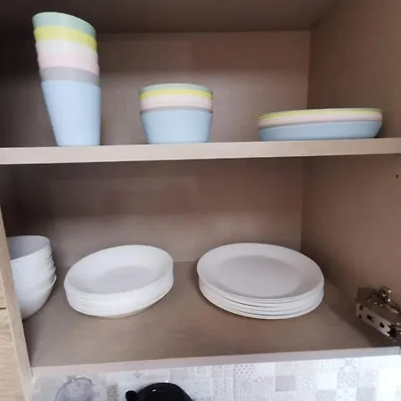 Terezia 托雷维耶哈