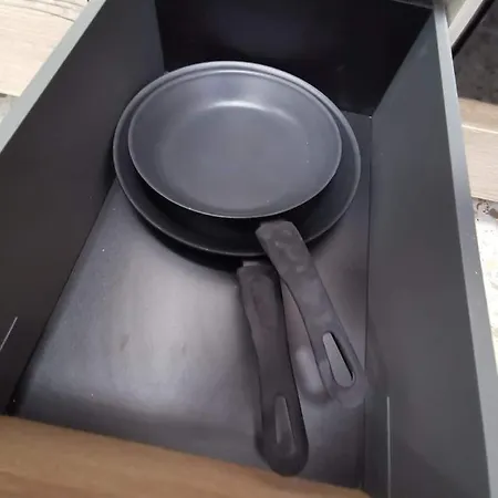 Terezia 托雷维耶哈